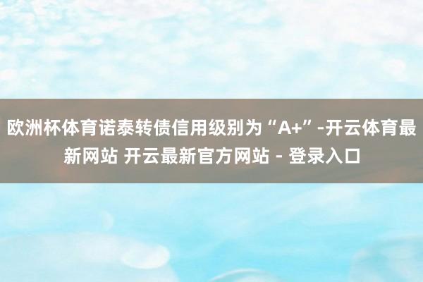 欧洲杯体育诺泰转债信用级别为“A+”-开云体育最新网站 开云最新官方网站 - 登录入口
