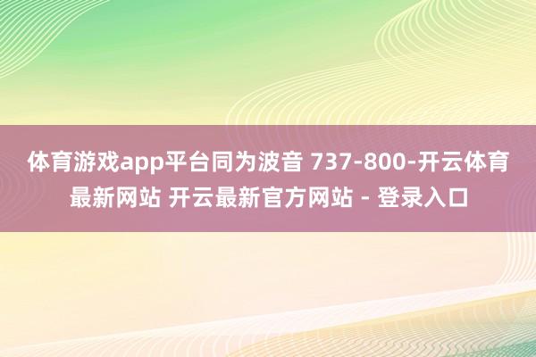 体育游戏app平台同为波音 737-800-开云体育最新网站 开云最新官方网站 - 登录入口