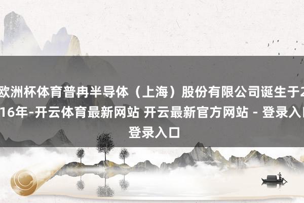欧洲杯体育普冉半导体（上海）股份有限公司诞生于2016年-开云体育最新网站 开云最新官方网站 - 登录入口