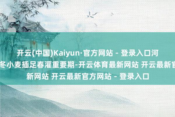 开云(中国)Kaiyun·官方网站 - 登录入口河北省顺平县15万亩冬小麦插足春灌重要期-开云体育最新网站 开云最新官方网站 - 登录入口